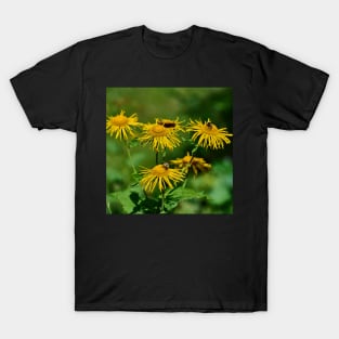 Alpine flowers T-Shirt